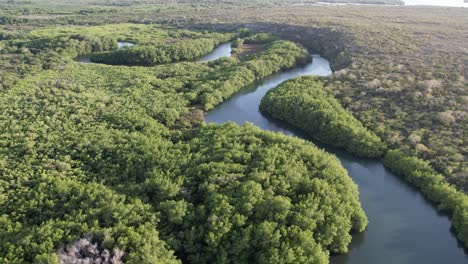 Drohnenvogelperspektive-Des-Dschungels-Mit-Natürlichem-Fluss-Zwischen-Haiti-Und-Der-Dominikanischen-Republik-Bei-Sonnenuntergang