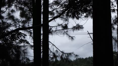 Silhouette-Einer-Waldlandschaft-Mit-Seilrutschen,-Die-Durch-Bäume-In-Bukidnon,-Philippinen,-Rasen