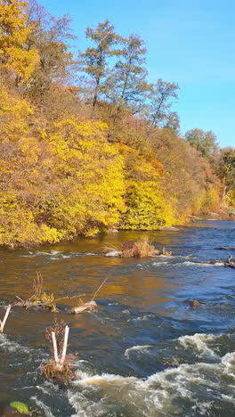 aerial flight over autumn river. aerial flight over autumn landscape along river