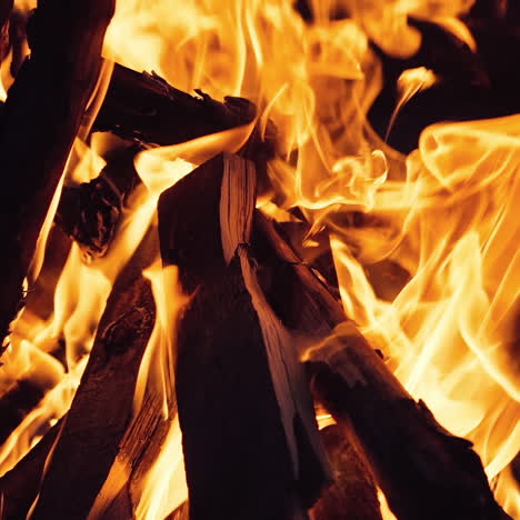 burning wood. burning fire in a home fireplace. slow motion