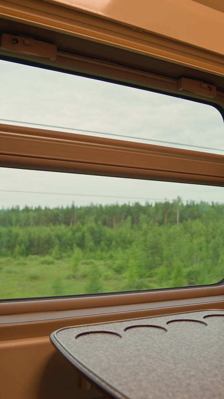 Näkymä junan ikkunasta vihreän metsän halki.
