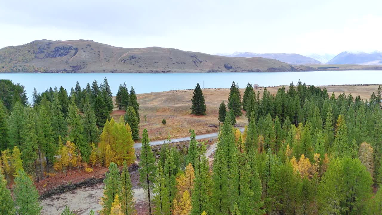 Aerial footage captures Lake Tekapo's serene landscape, featuring lush pine forests and tranquil waters under soft daylight
