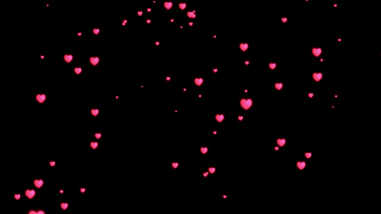 심장 마크 입자 애니메이션 모션 그래픽