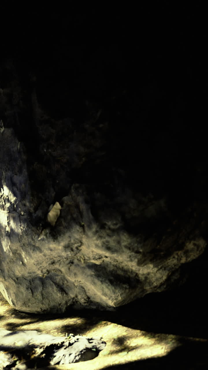 Exploring the dark cave with rocks and shadows near the water surface
