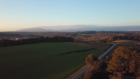 Green-cropland-with-a-road-crossing-them,-on-Empordà,-Catalunya,-Spain