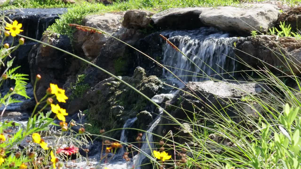 A small flowing waterfall, pouring water over stones, and surrounded by flowers, grass, and flora