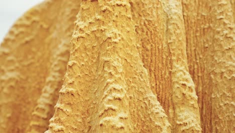 Close-up-to-The-Tsingy-Rouge-is-a-stone-formation-of-red-laterite-in-the-region-of-Diana-in-northern-Madagascar,-Africa