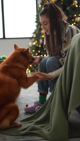 woman and dog at christmas