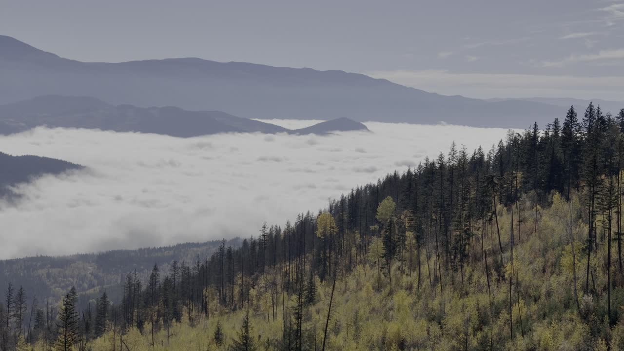 Mystical Cloudscape: Bird's Eye View of Fall-Colored Forests and Enveloped Valley