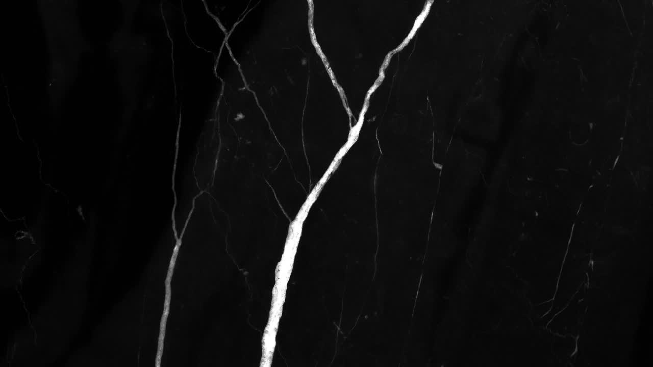 검은색 배경에서 움직이는  ⁇ 색 모양의 애니메이션