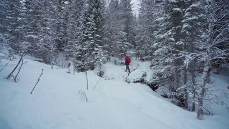 Europäischer-Mann-In-Winterjacke,-Der-Mit-Seinem-Haustier-Alaskan-Malamute-Durch-Frischen-Schnee-In-Den-Bergen-Wandert