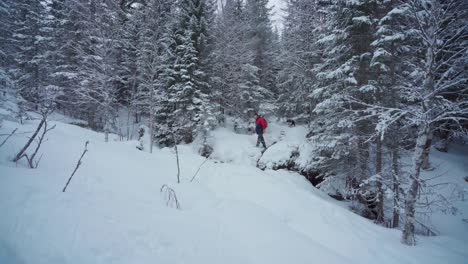 european man in winter jacket hiking with his pet alaskan malamute through fresh snow in the mountain