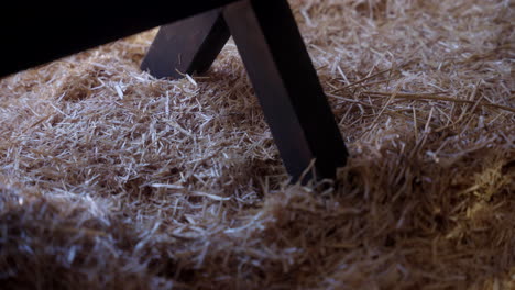 Close-up-of-a-wooden-leg-in-hay