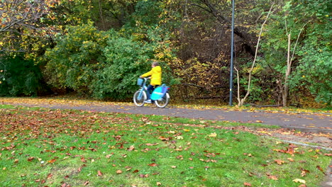 people are riding their bikes, view of the bike path in the autumn season, the trees have colourful leaves, falling leaves on the road and green grass