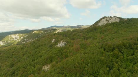 Un-Dron-Disparó-Sobre-Un-Bosque-En-Un-Parque-Natural