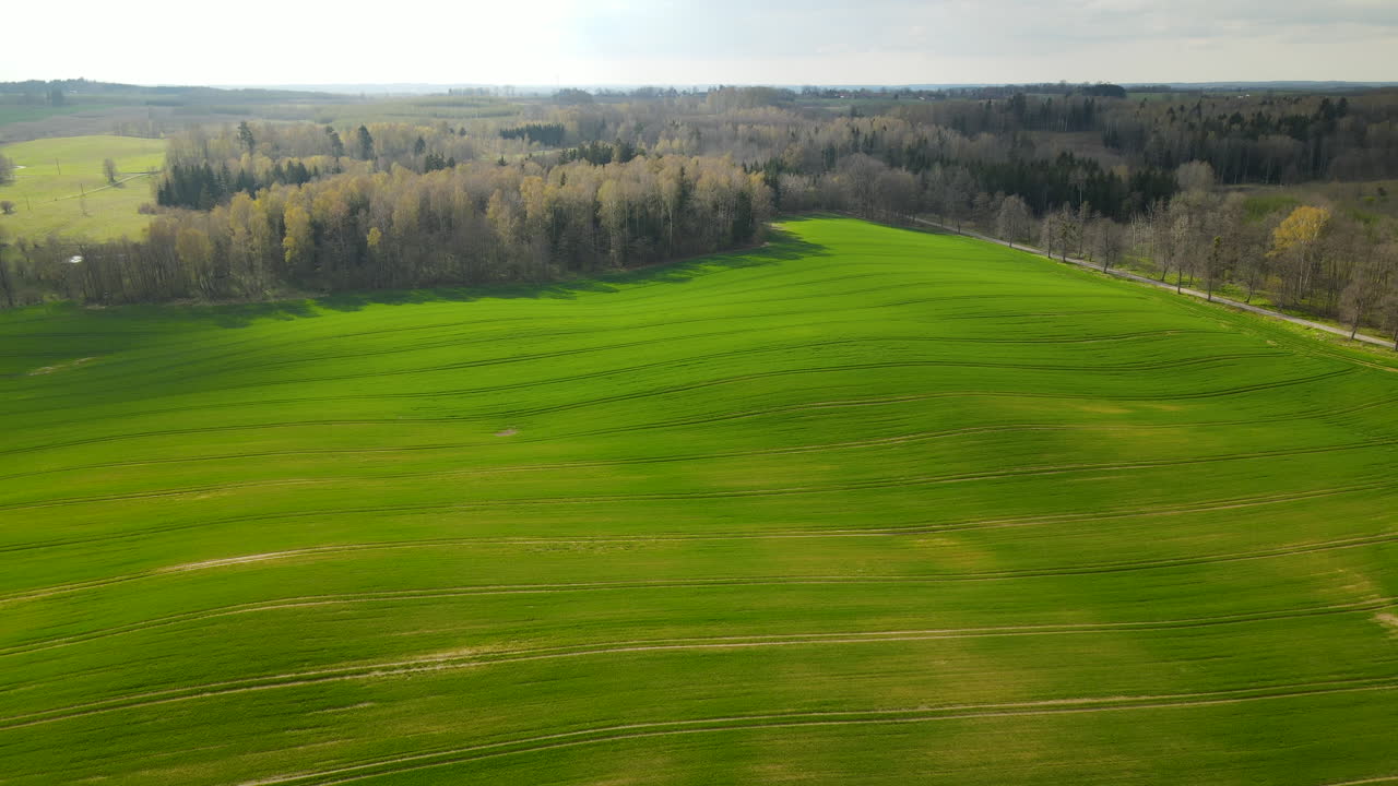 Dramatic pull out drone shot over rolling green fields of Pieszkowo Poland