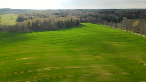 dramatic pull out drone shot over rolling green fields of pieszkowo poland