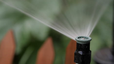 Sprinklerspray-Auf-Riser-Gartenbewässerung