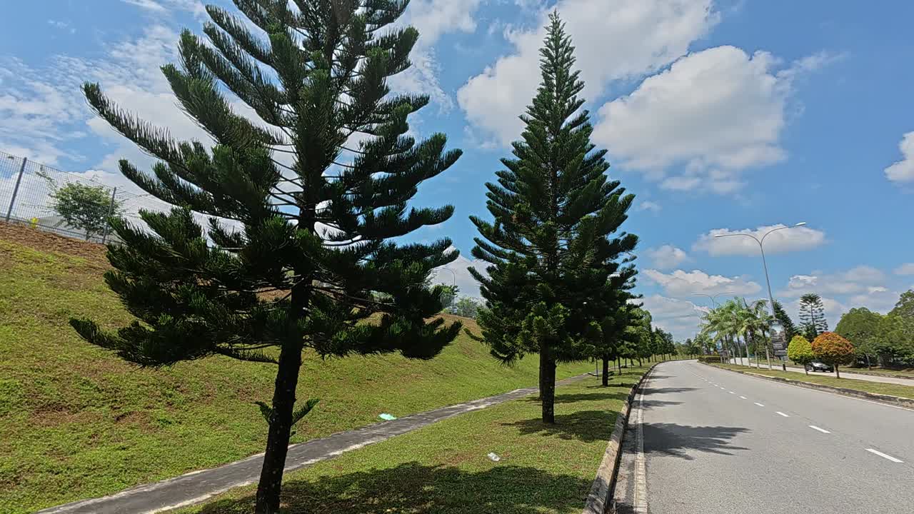 Decorative trees line the road median and roadside edges. They provide shade for both commuters and pedestrians using the area. These trees also function as a natural safety barrier during accidents