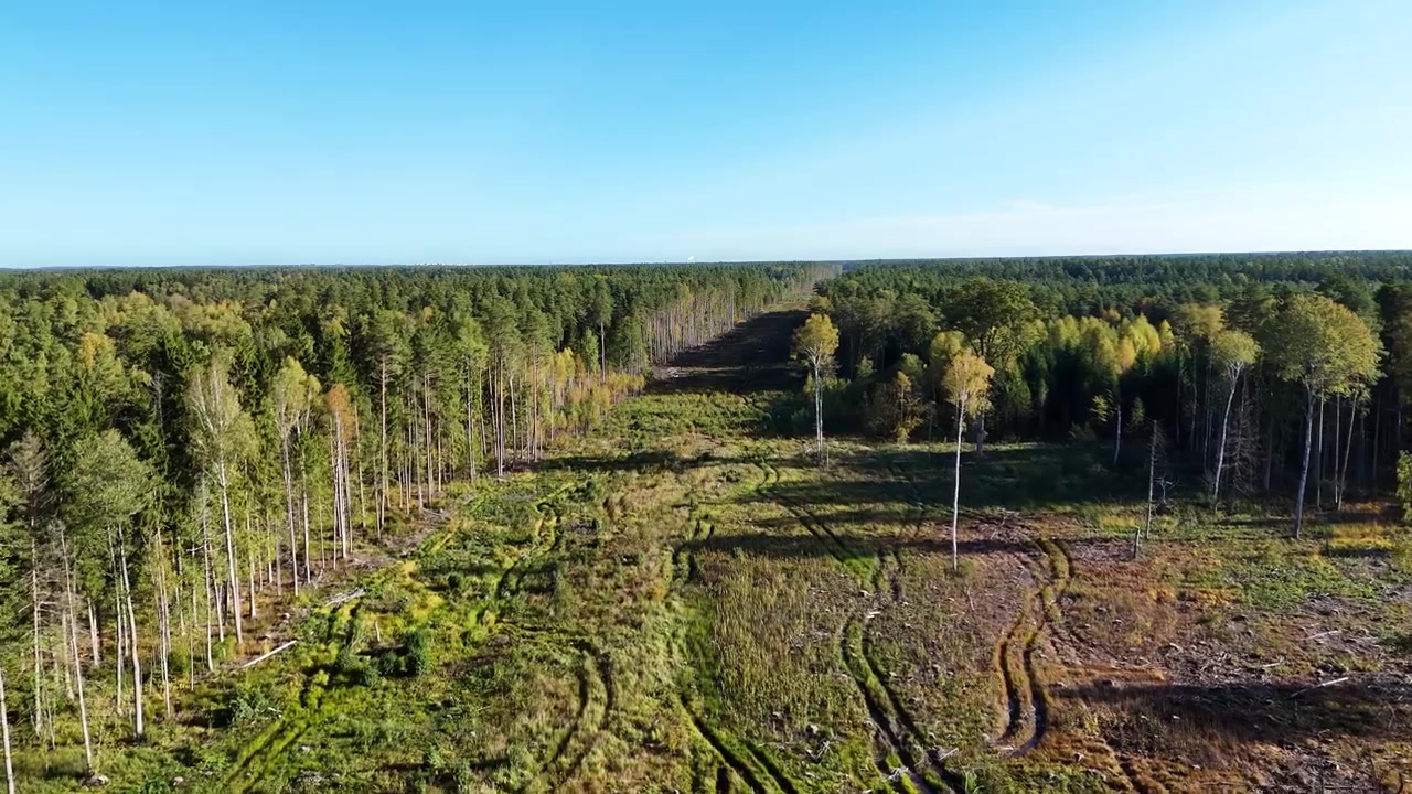 Anlæg af Rail Baltica-linjen, der skærer en bred sti gennem en skov, hvilket demonstrerer miljøpåvirkningen af infrastrukturprojekter, der vil integrere Baltikum i det europæiske netværk.