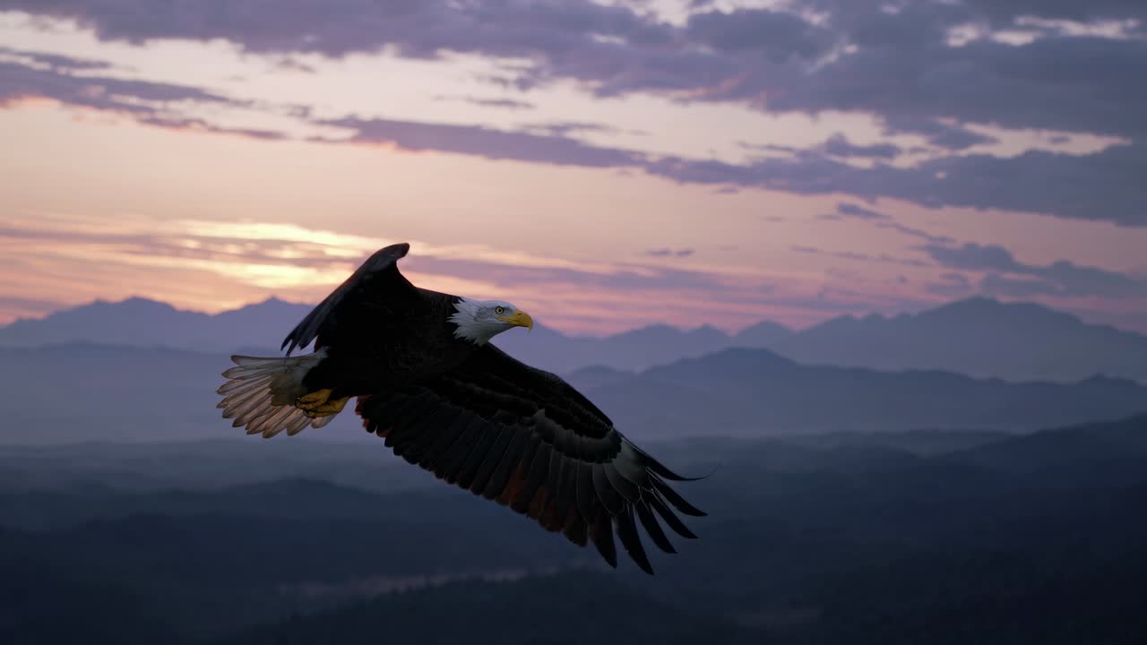 Majestic eagle soaring over mountains at sunset, captured in a wide-angle shot