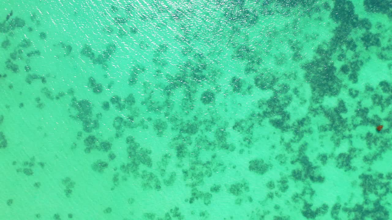 밝은 푸른 물 아래 산호초, 추상 푸른 물 질감