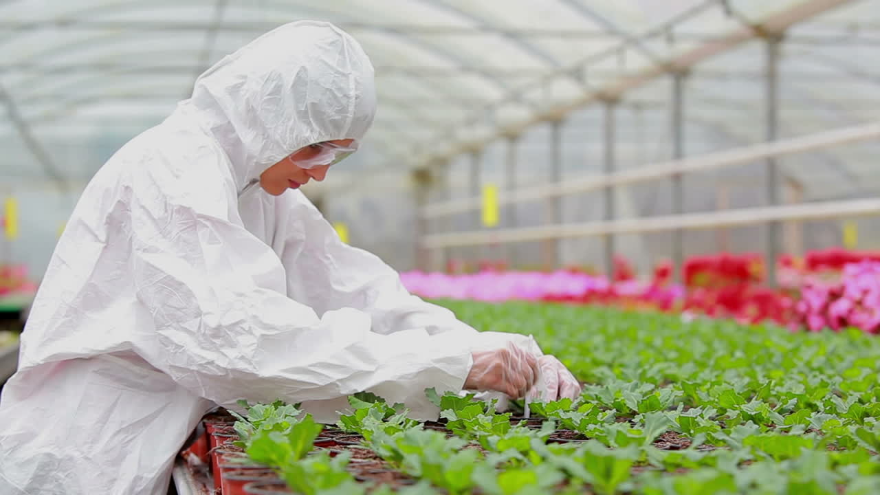 mujer en traje de protección comprobando las plantas