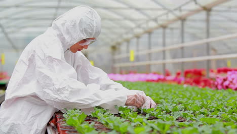 woman in protective suit checking the plants