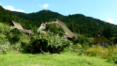 villaggio tradizionale in giappone