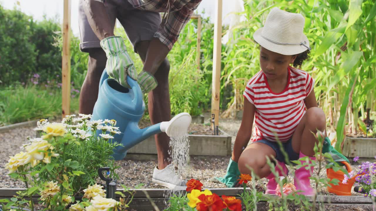 padre y hija afroamericanos regando plantas