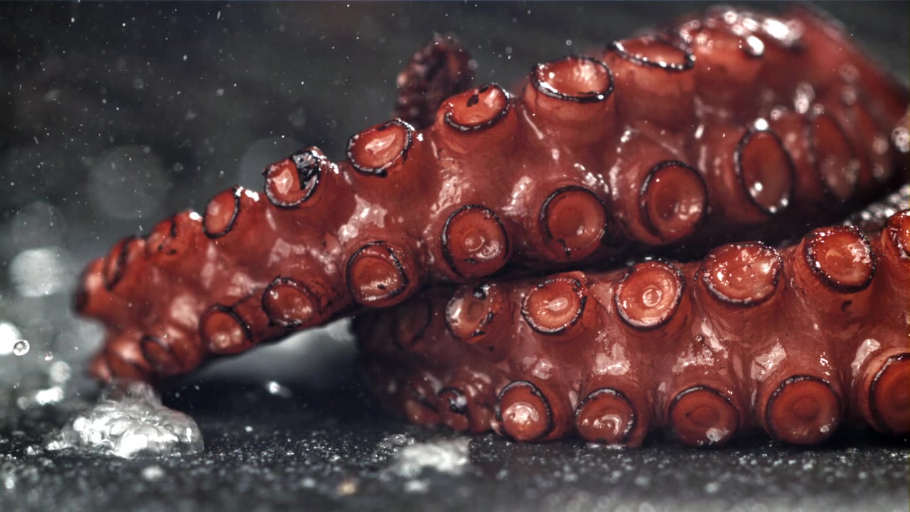 Primo piano di tentacoli di polpo freschi con gocce d'acqua