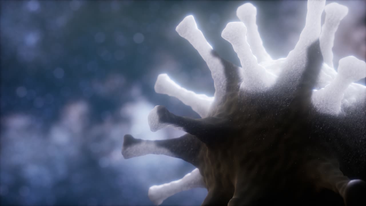 Virtual representation Macro model of Novel Coronavirus 2019-nCoV