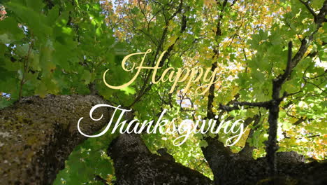 animation of happy thanksgiving text over trees