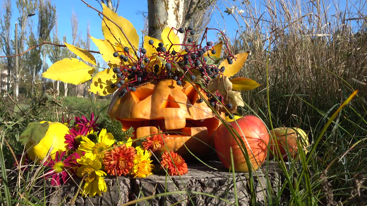 Citrouille d'Halloween effrayante. Le monstre est assis sur une souche d'arbre. Tournage en octobre.
