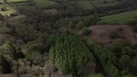 aerial footage flying over dense forest, green fields and rolling hills