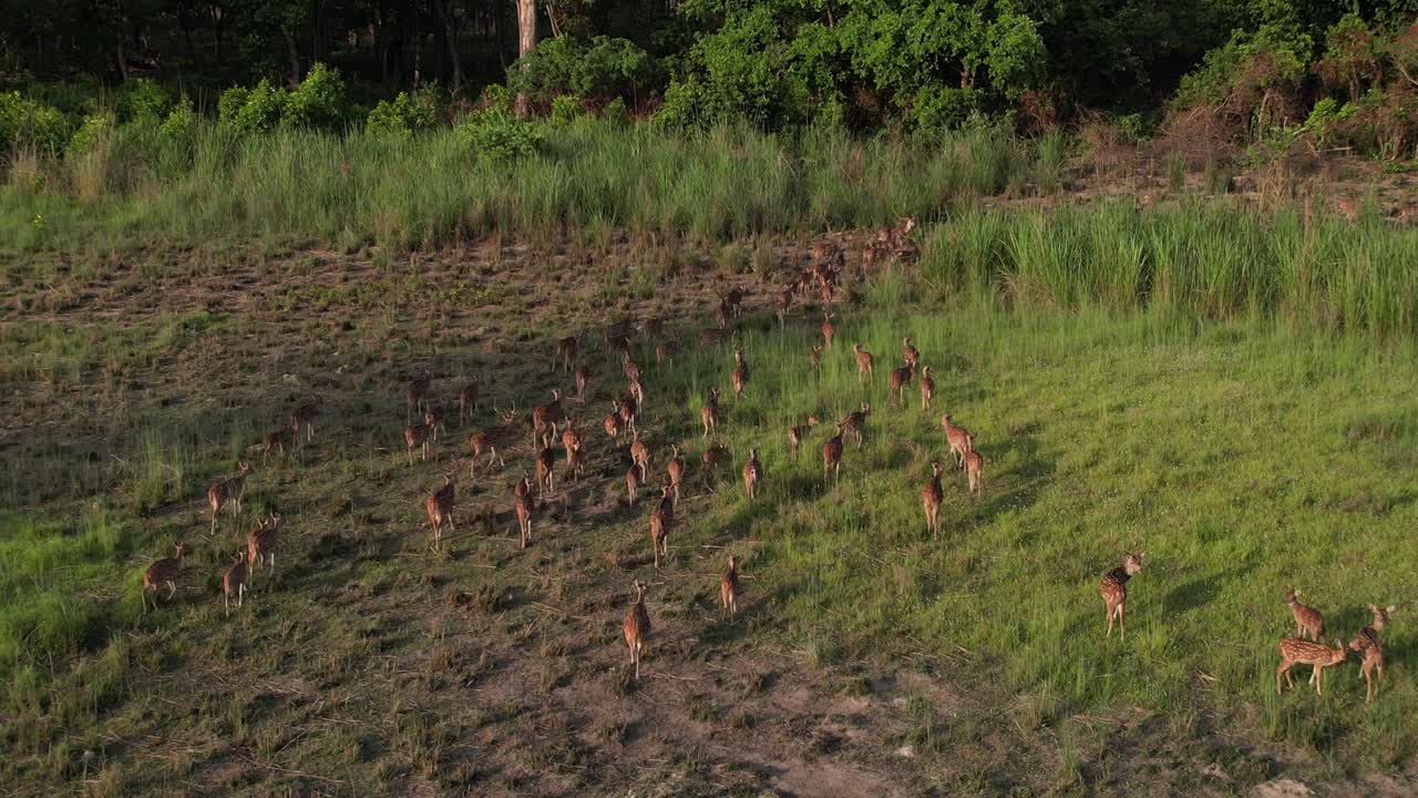 정글에서 얼룩진 맥주
