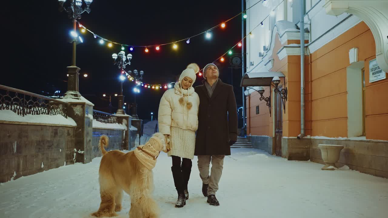 Couple Walking their Dog in Winter Night