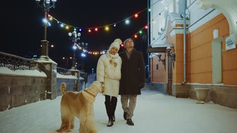 couple walking their dog in winter night