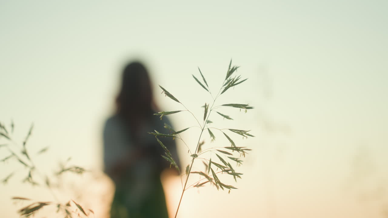 Woman standing in tall grass taking photo with camera during golden hour sunlight, framed by swaying grass and wide landscape in background