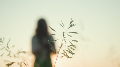 woman standing in tall grass taking photo with camera during golden hour sunlight, framed by swaying grass and wide landscape in background
