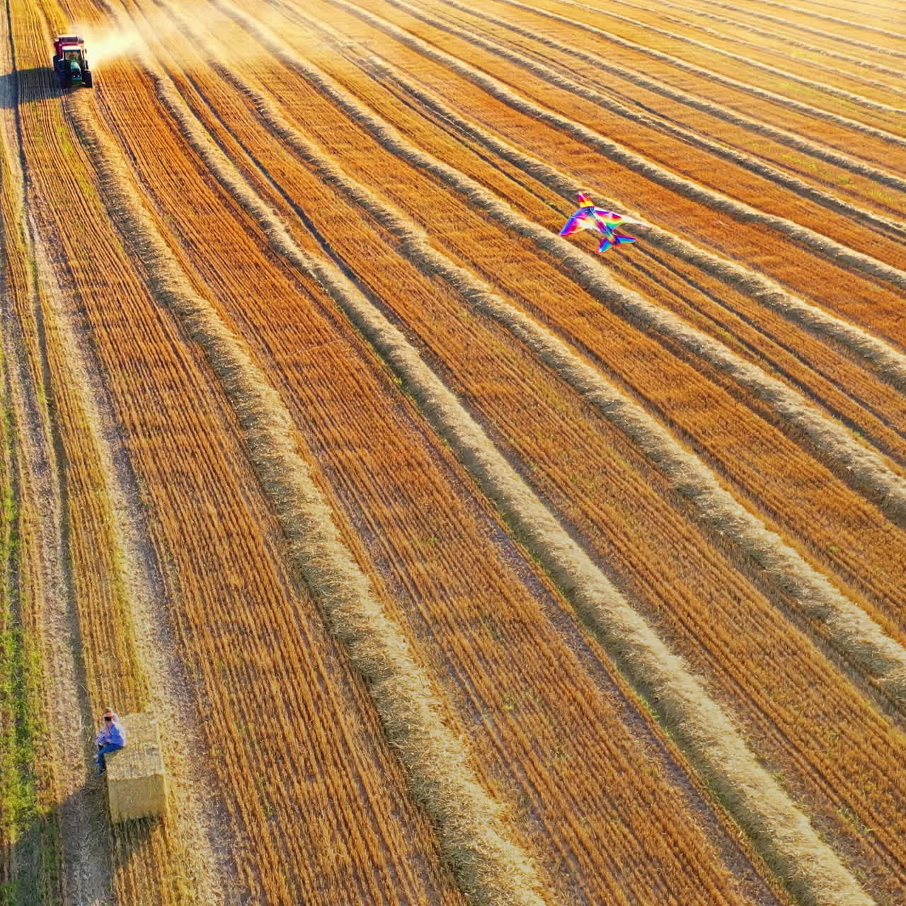 Colorful kite in the sky on the yellow field background. People sitting on a haystack and flying kite. Agricultural tractor at seasonal works.