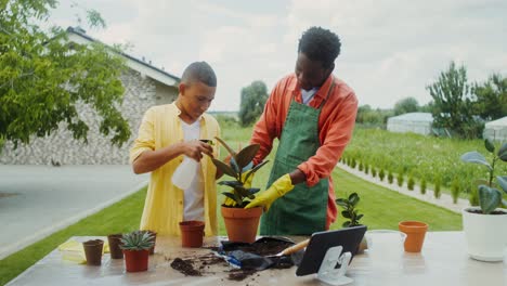 padre e hijo jardinería juntos
