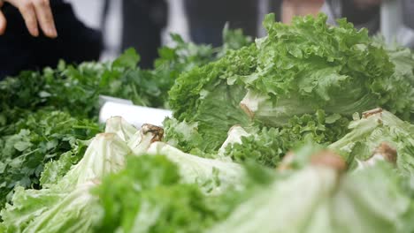 fresh lettuce at a market