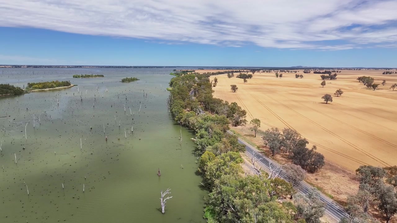 Descending drone view over Lake Mulwala shoreline trees farmland and flooded timber