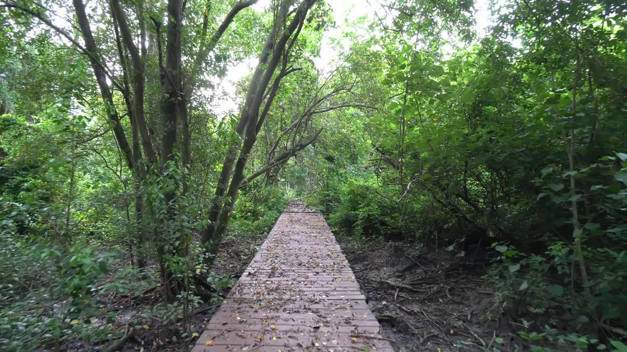 Gimbal shot move at the broken wooden bridge