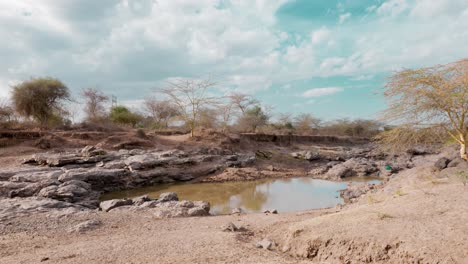 a last puddle of water in a drying savannah in africa