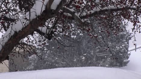 La-Nieve-Se-Acumula-Después-De-Una-Fría-Tormenta-De-Nieve-Invernal-En-Meridian,-Idaho,-En-2024.