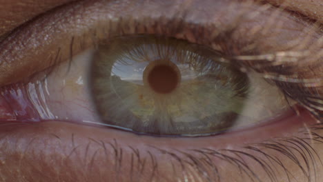 cerrar la abertura del ojo azul macro con reflejo en el iris