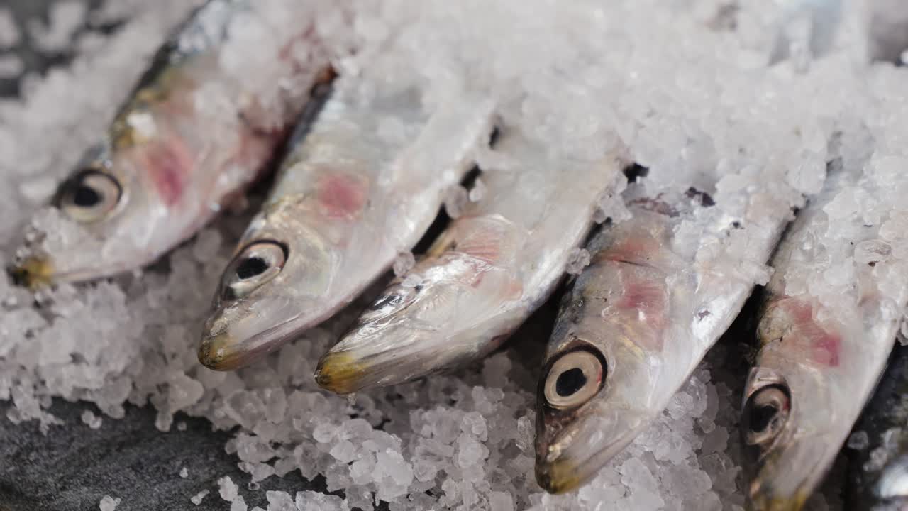 anchoas frescas en hielo