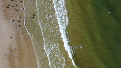 a-top-down-shot-over-a-beach